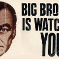 big-brother