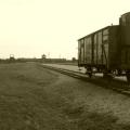 Auschwitz vagón