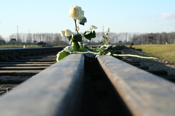 Auschwitz vía de tren